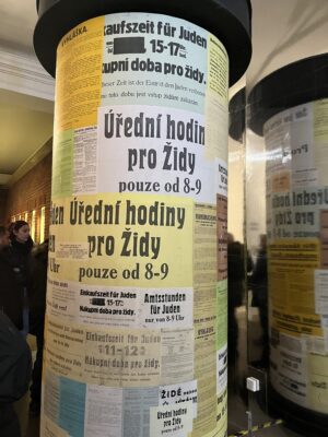 IMG_9624.jpeg