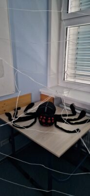 1000101492-rotated.jpg