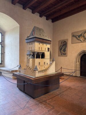 IMG_2899-rotated.jpeg