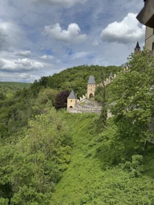 IMG_2967-rotated.jpeg