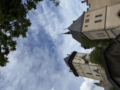 IMG_2984-rotated.jpeg