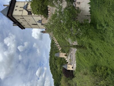 IMG_2988-rotated.jpeg