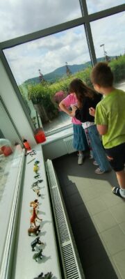 IMG_20260617_110808.jpg